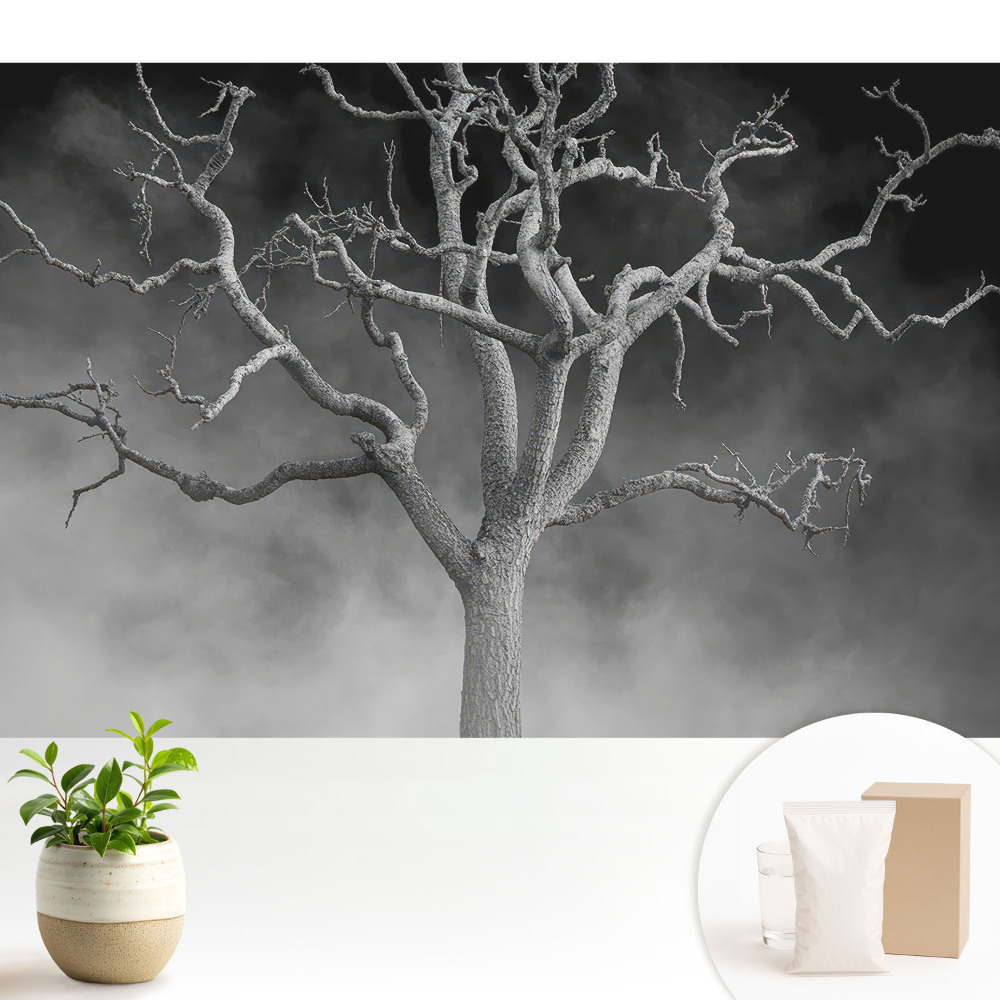 Tapéta Egy magányos fa a ködben