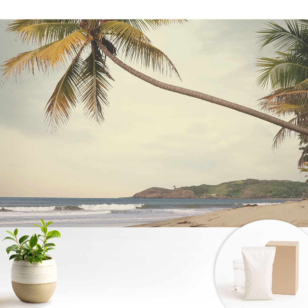 Tapéta Pálmafa és egzotikus tengerpart