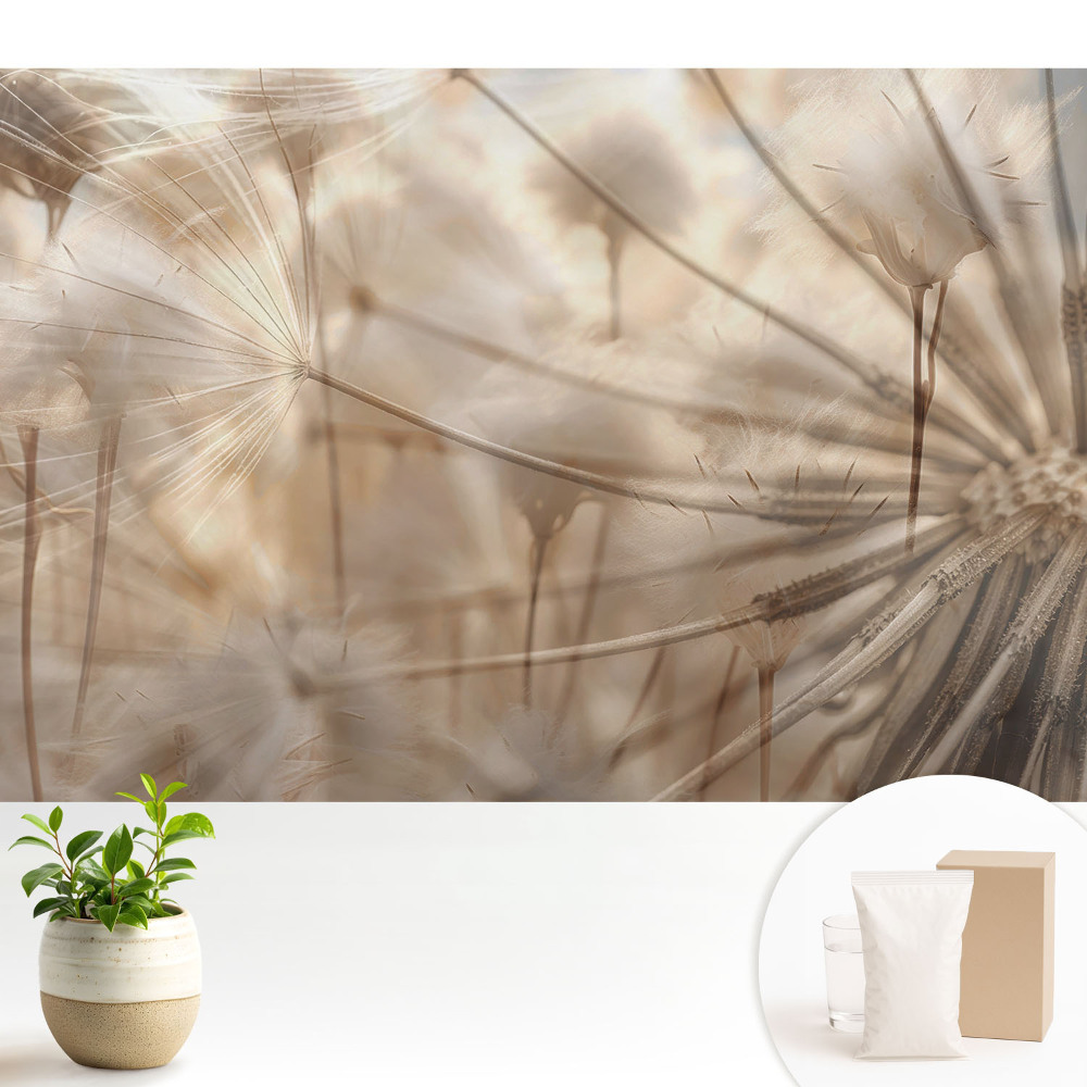 Tapéta A természet éteri pitypang harmóniája