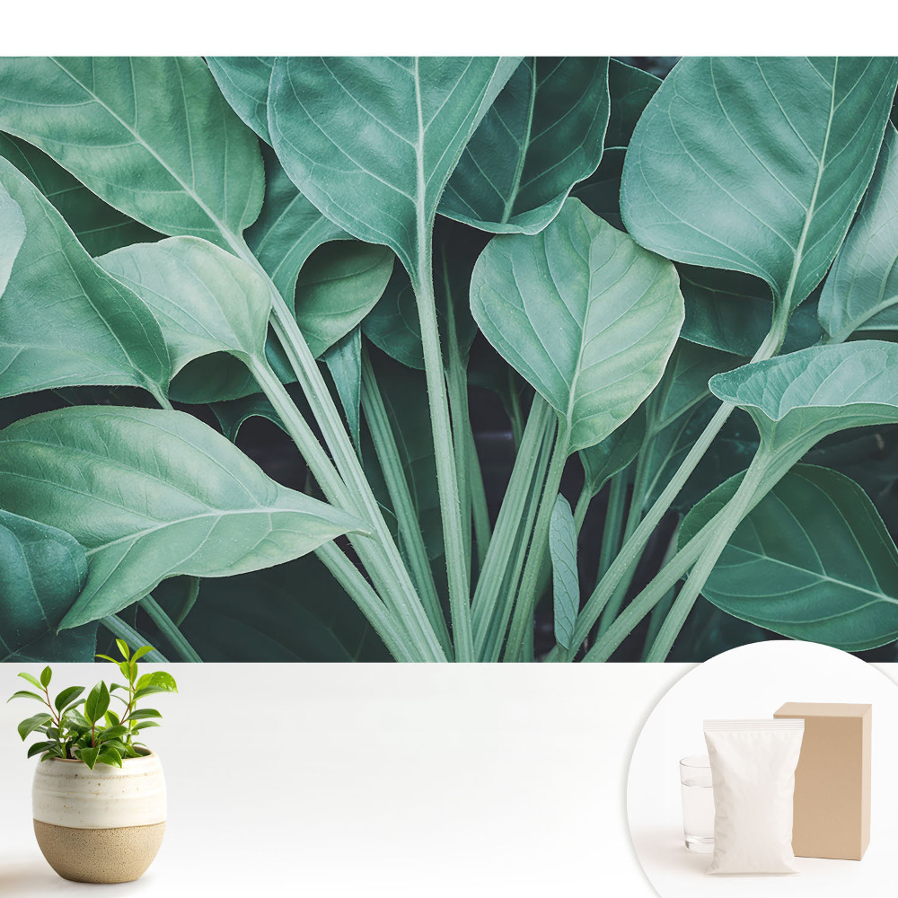 Modern tapéta Zöld levelek természet harmóniája