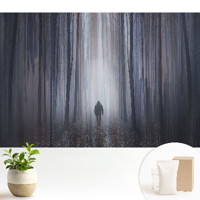 Modern tapéta Egy magányos alak egy titokzatos erdőben