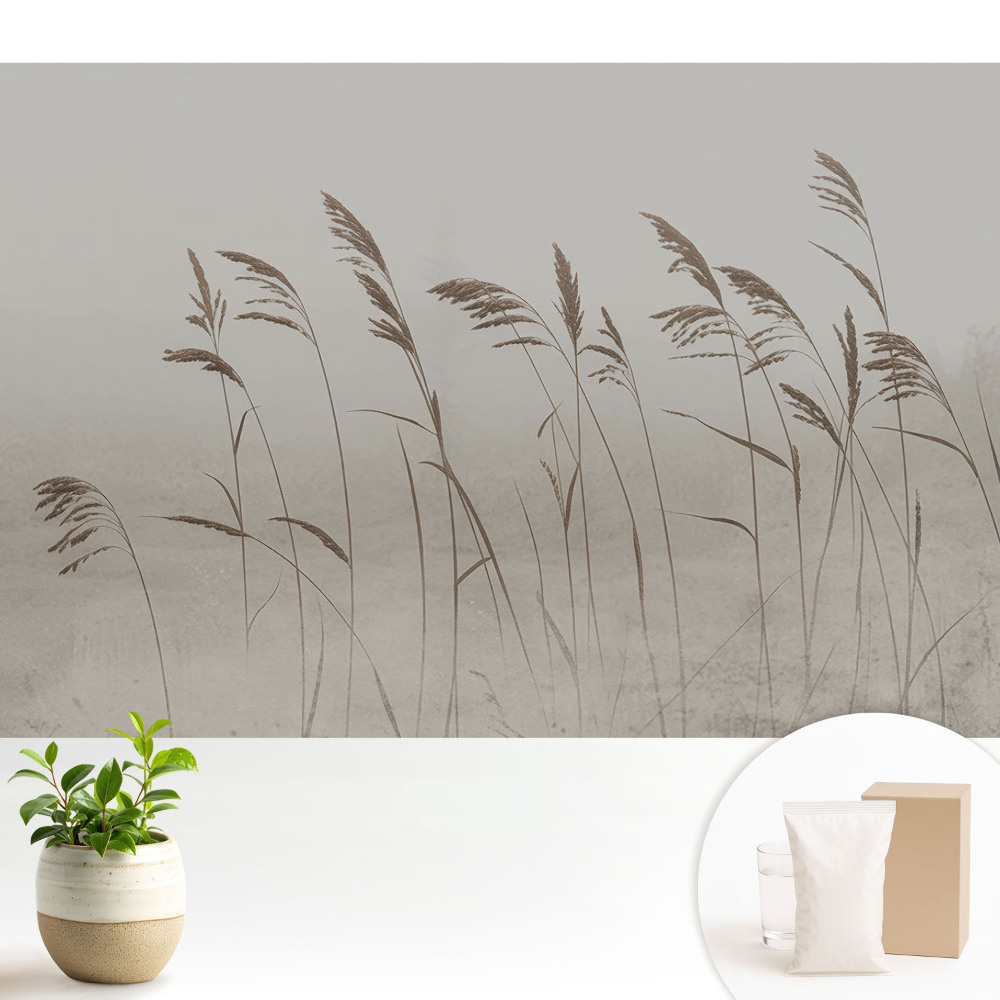 Modern tapéta Finom fűszálak egy ködös aurában