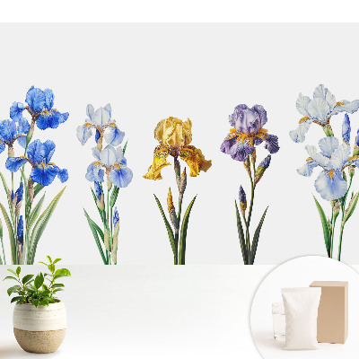 Dekor tapéta Színes írisz virágok fehér alapon