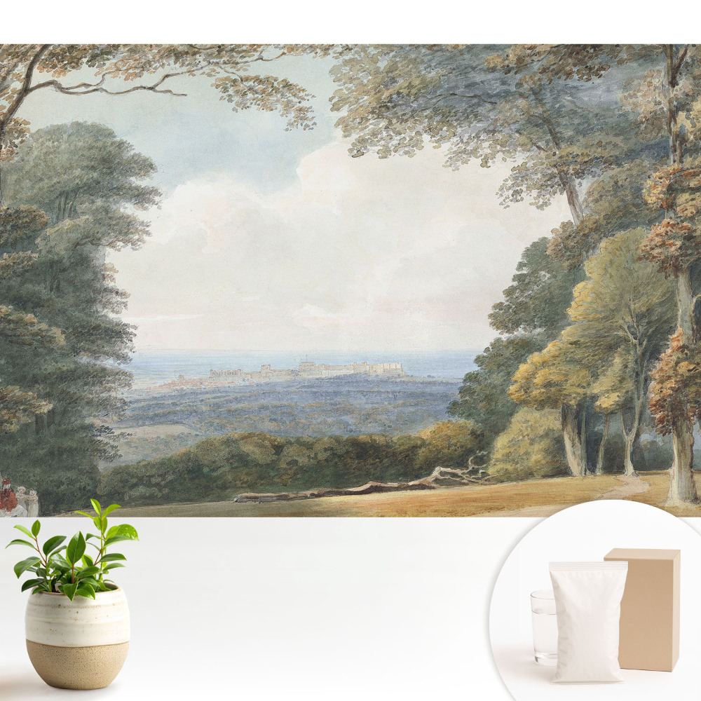 Modern tapéta Tájkép az erdő közelében, kilátás a városra