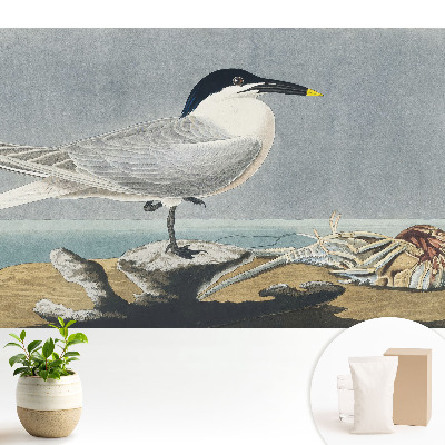 Modern tapéta Egy elegáns madár a tenger ellen