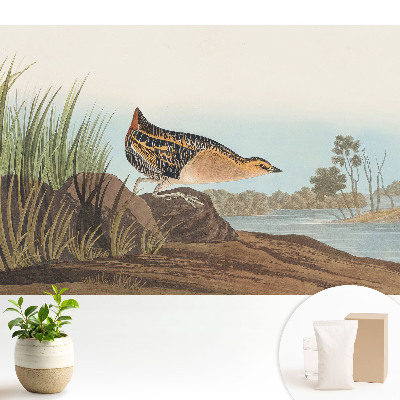 Dekor tapéta Egy madár a víz felett klasszikus stílusban