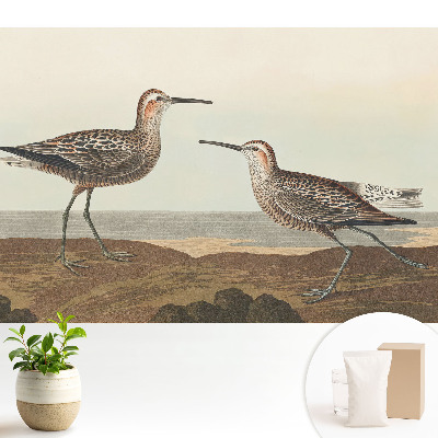 Dekor tapéta Két madár a tengerparton