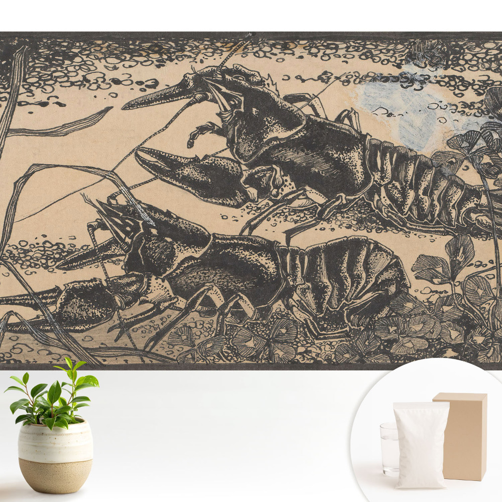 Modern tapéta Rákok és vízinövények klasszikus stílusban