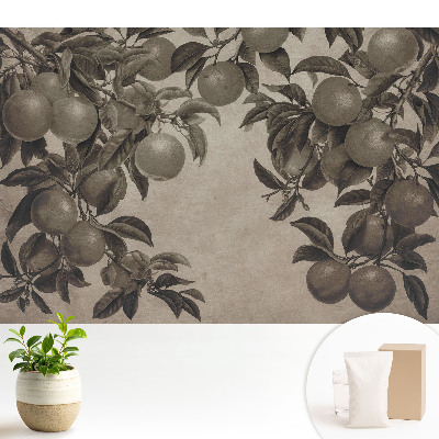 Tapéta Fekete-fehér retro gyümölcslevelek vintage