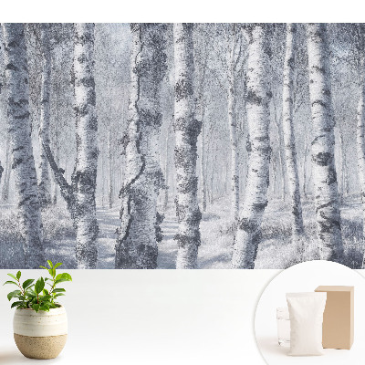 Dekor tapéta Téli nyírfaerdő