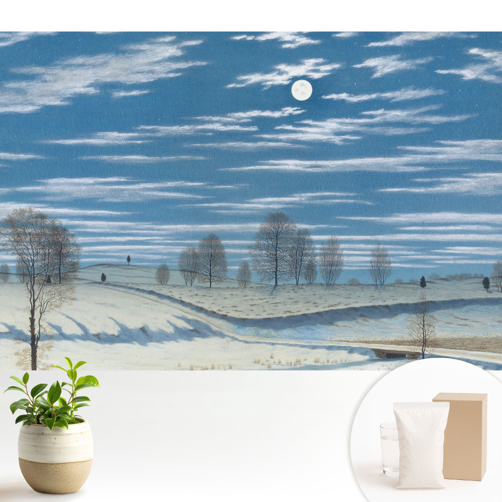 Tapéta Egy hangulatos téli táj a hold alatt