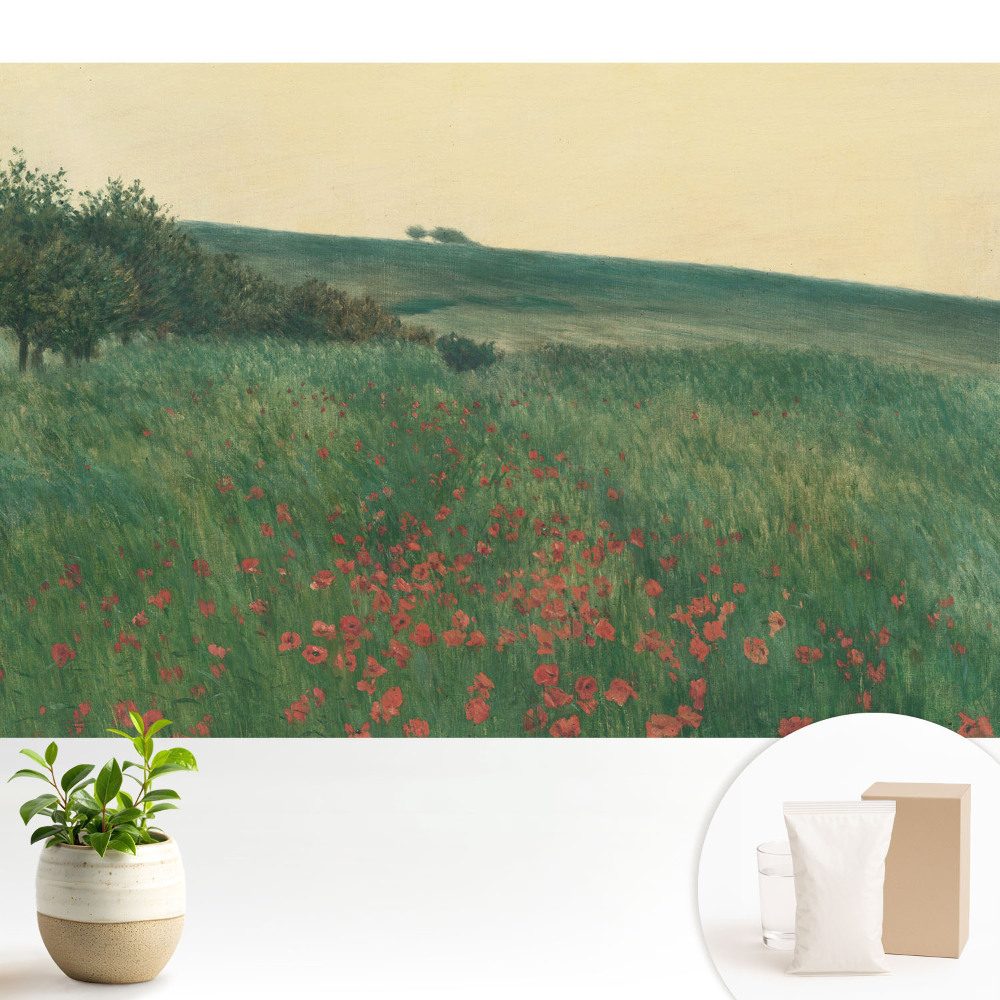 Modern tapéta Egy rusztikus rét tele pipacsokkal és fákkal