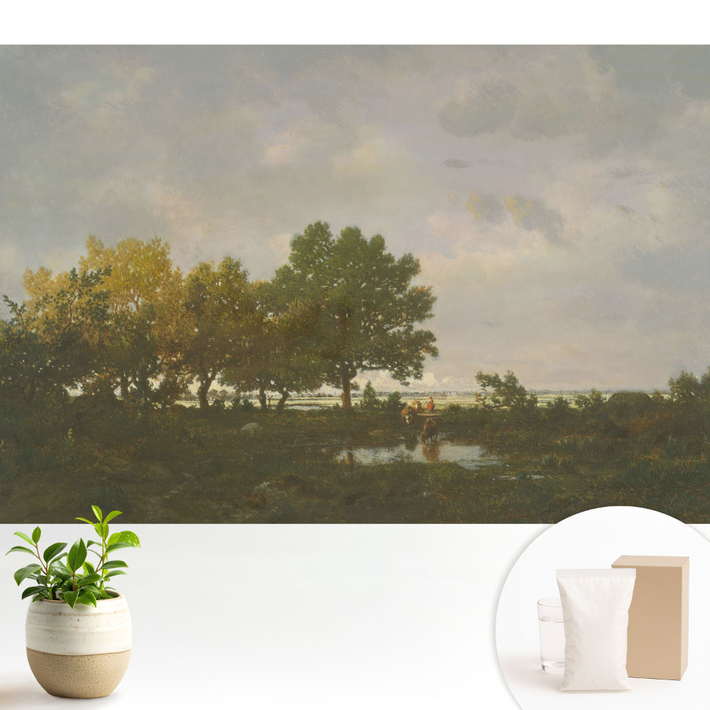 Tapéta Egy festői erdő lovassal