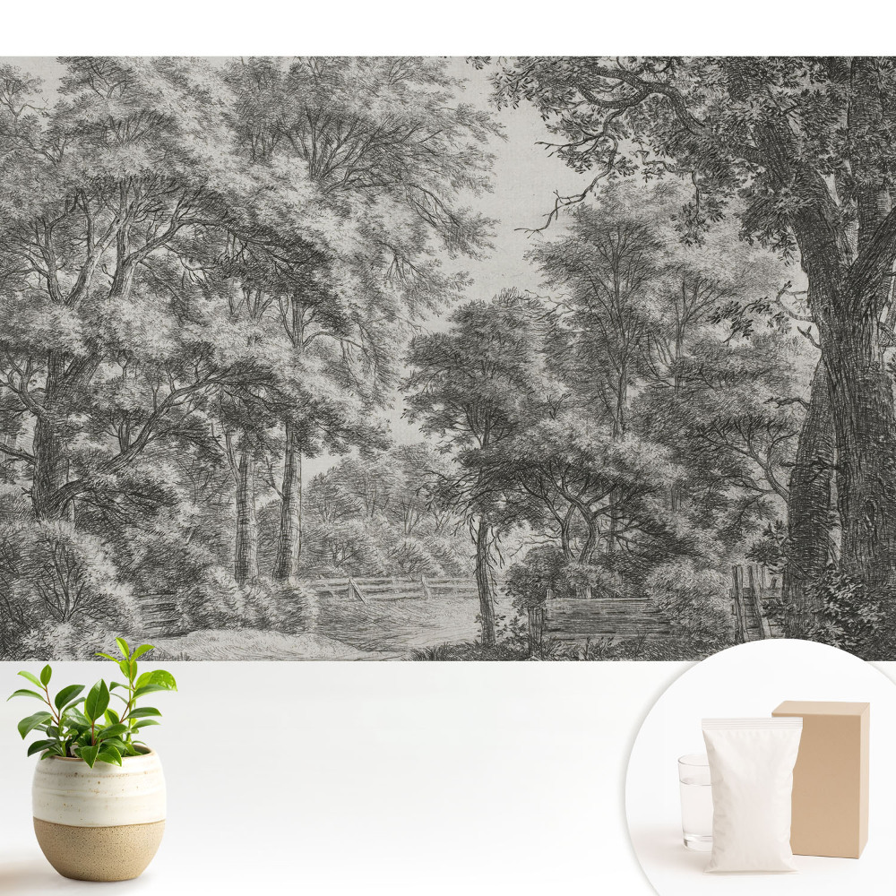 Dekor tapéta Klasszikus erdei táj, harmónia és béke