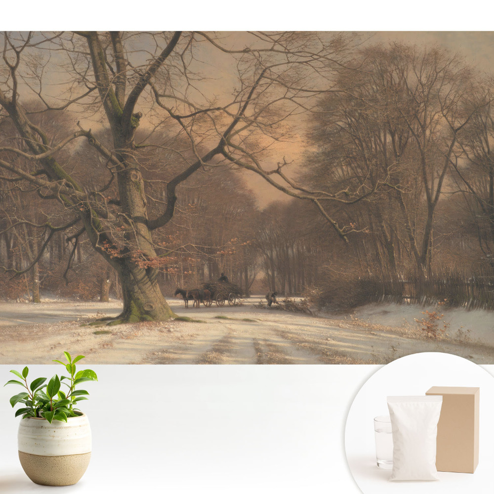 Modern tapéta Téli erdő béke természet