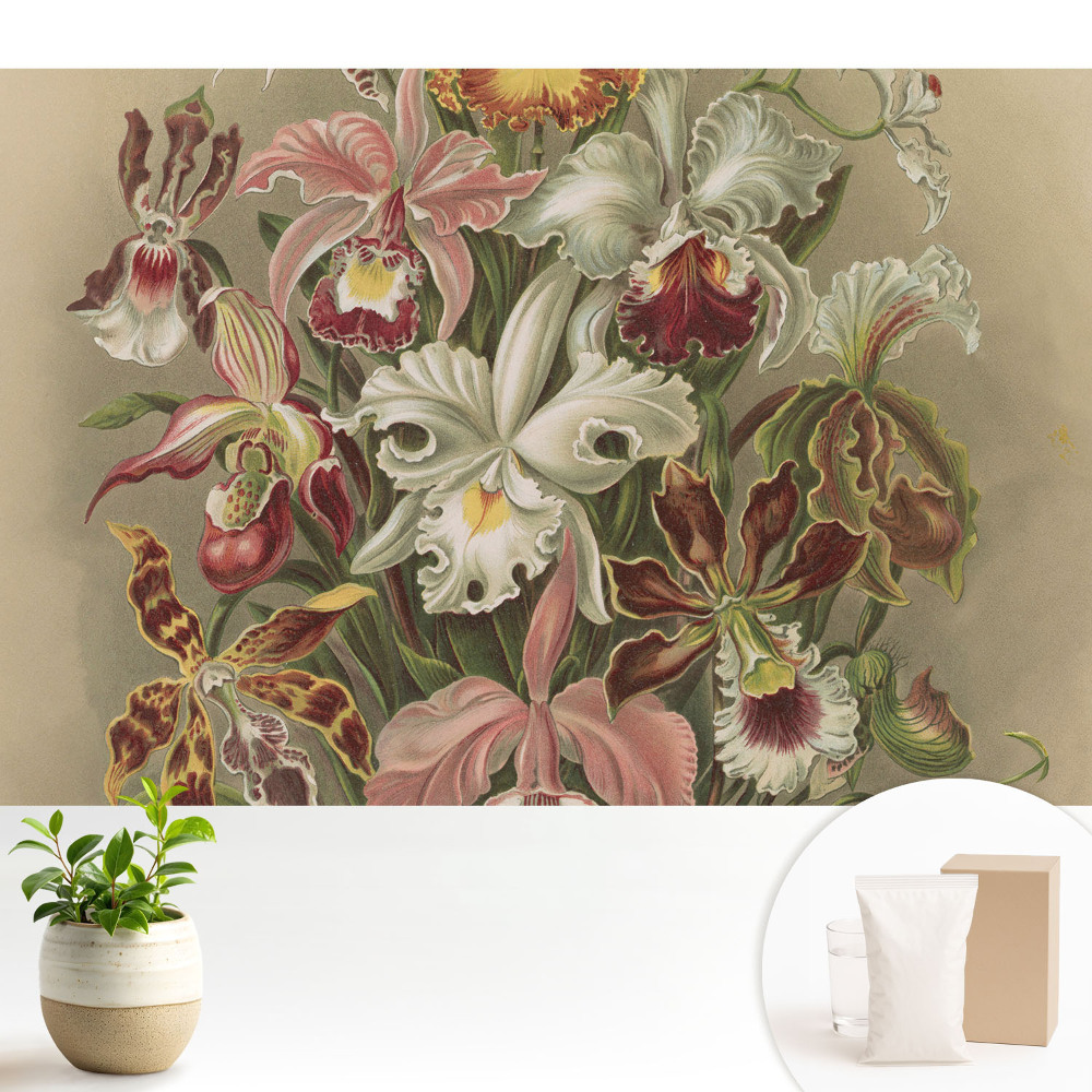 Dekor tapéta Egzotikus virágok harmóniája a természetben