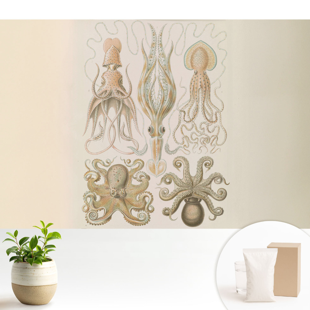 Dekor tapéta Tengeri lábasfejűek részleteinek harmóniája