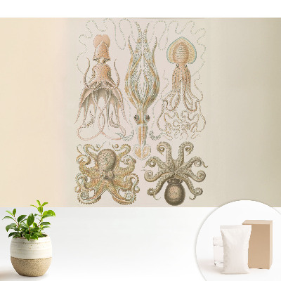 Dekor tapéta Tengeri lábasfejűek részleteinek harmóniája