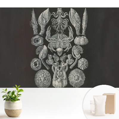 Tapéta Tengeri élőlények művészi gravírozása