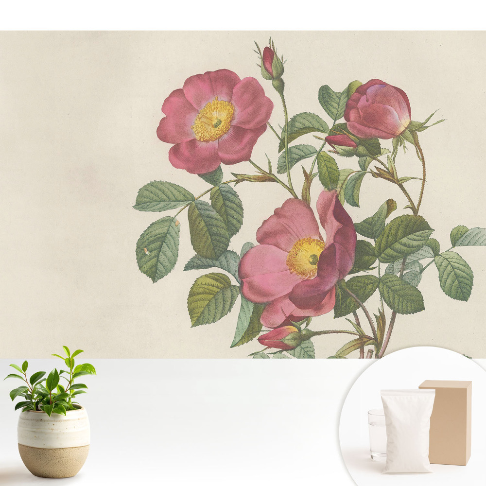 Dekor tapéta Vadrózsák klasszikus kompozícióban