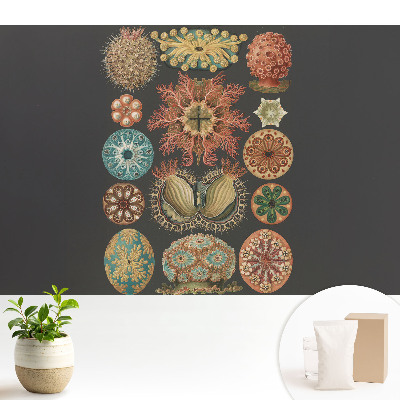 Modern tapéta Absztrakt tengeri formák klasszikus stílusban