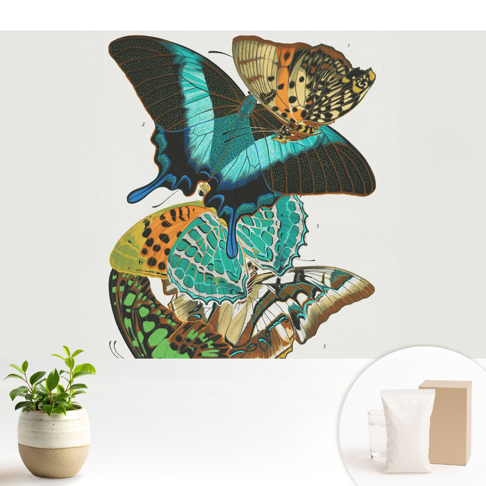 Dekor tapéta Színes pillangók klasszikus harmonikus kompozíció