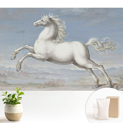 Dekor tapéta Egy fehér ló dinamikus ugrásban