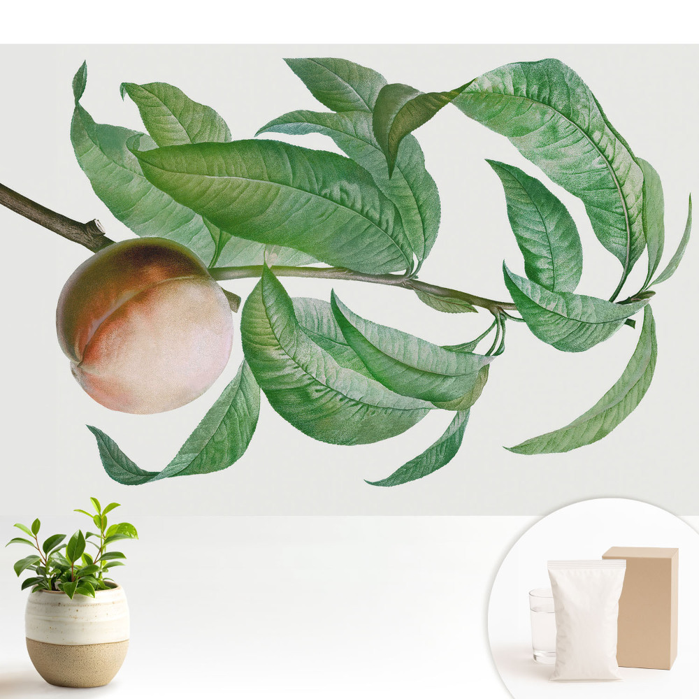 Modern tapéta Őszibarack és levelek klasszikus stílusban