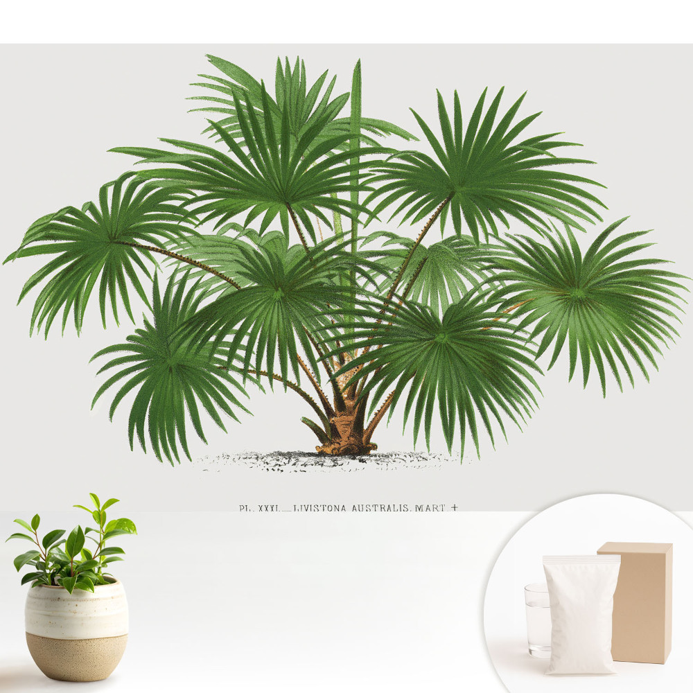 Modern tapéta Zöld pálma szimmetrikus kompozíció