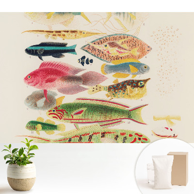 Dekor tapéta Klasszikus stílusú halak széles választéka