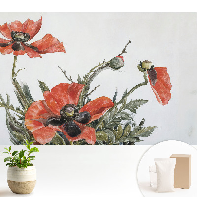 Tapéta Finom pipacsok világos háttér előtt