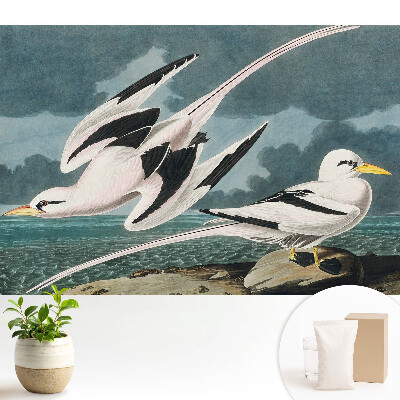 Tapéta Klasszikus festmény madarakról a tengerparton