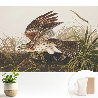 Modern tapéta Egy madár repülés közben a fű között