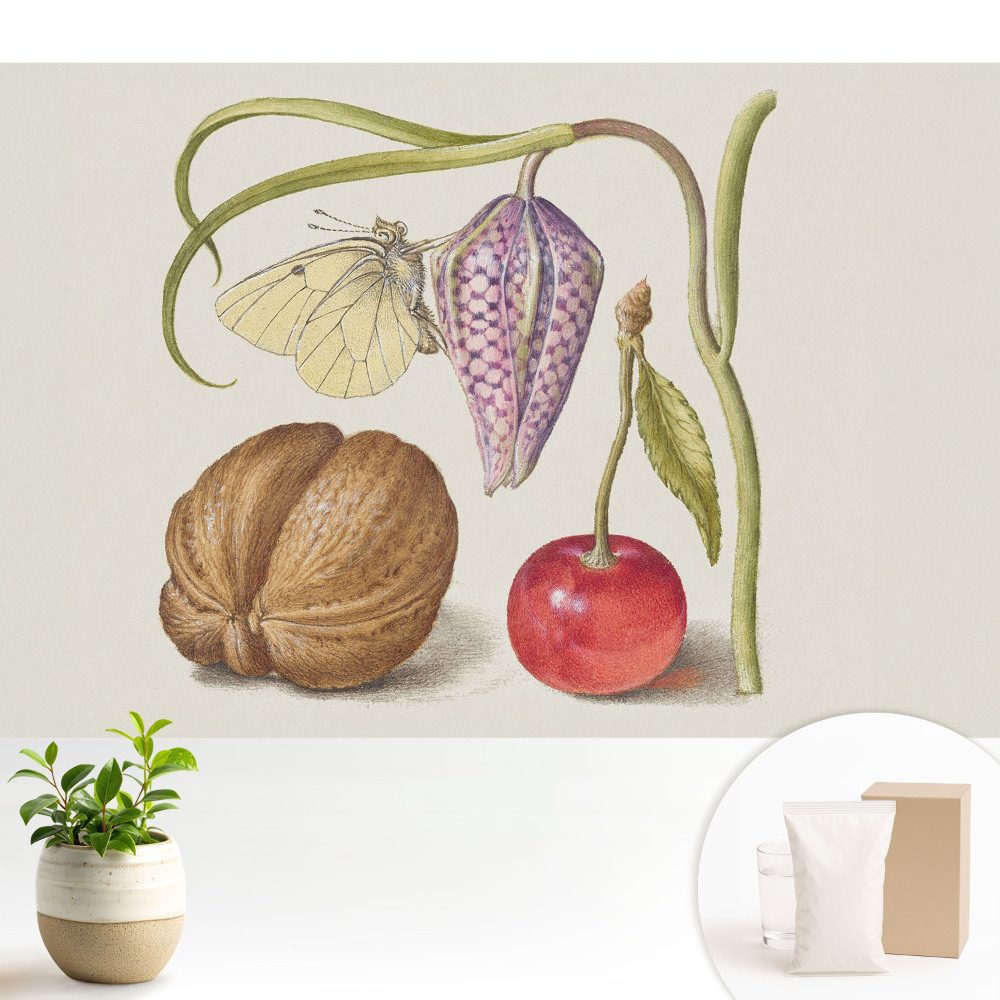 Tapéta Pillangó virágon, levélen és gyümölcsön