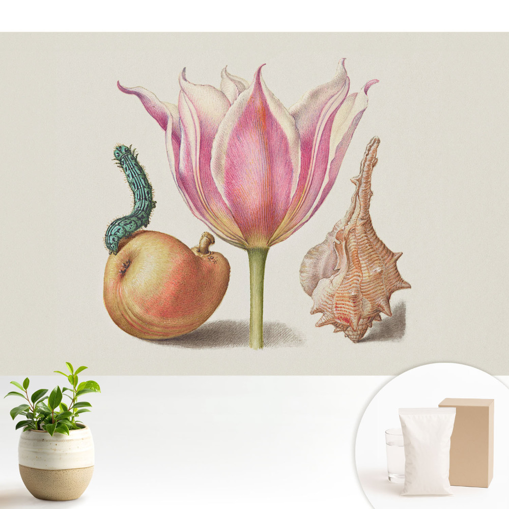 Dekor tapéta Virág hernyóhéj harmónia.