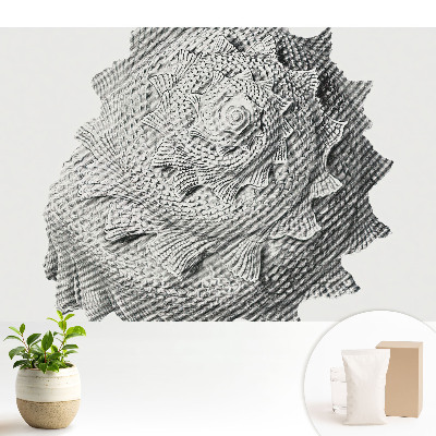 Tapéta Spirálhéj vizuális harmónia