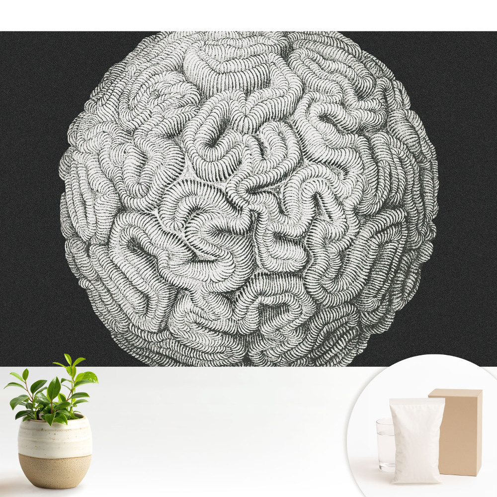 Modern tapéta Monokróm gömb alakú harmonikus szerkezet