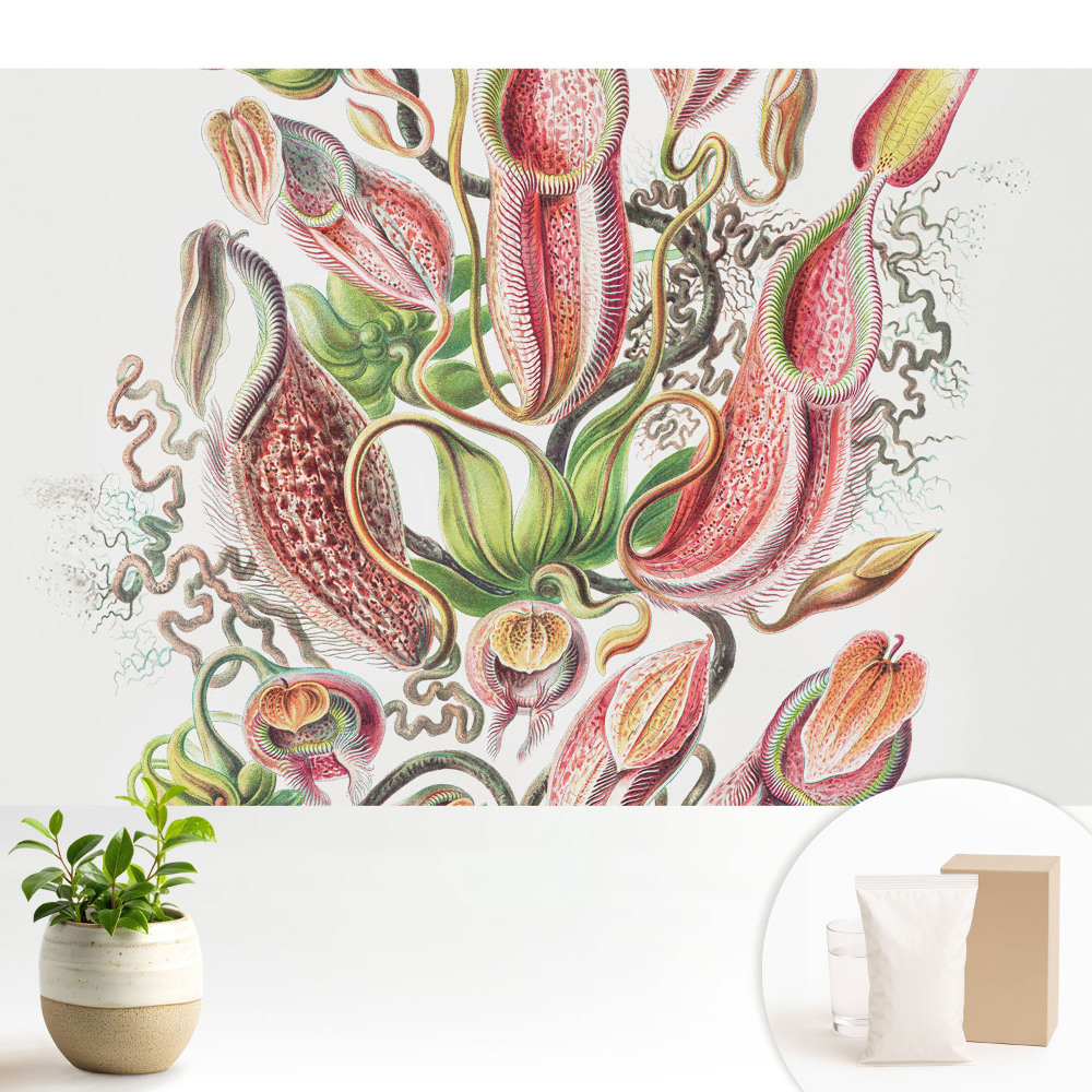 Modern tapéta Egzotikus rovarevő növények