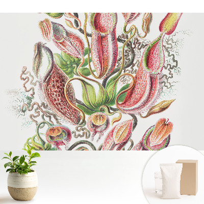 Modern tapéta Egzotikus rovarevő növények