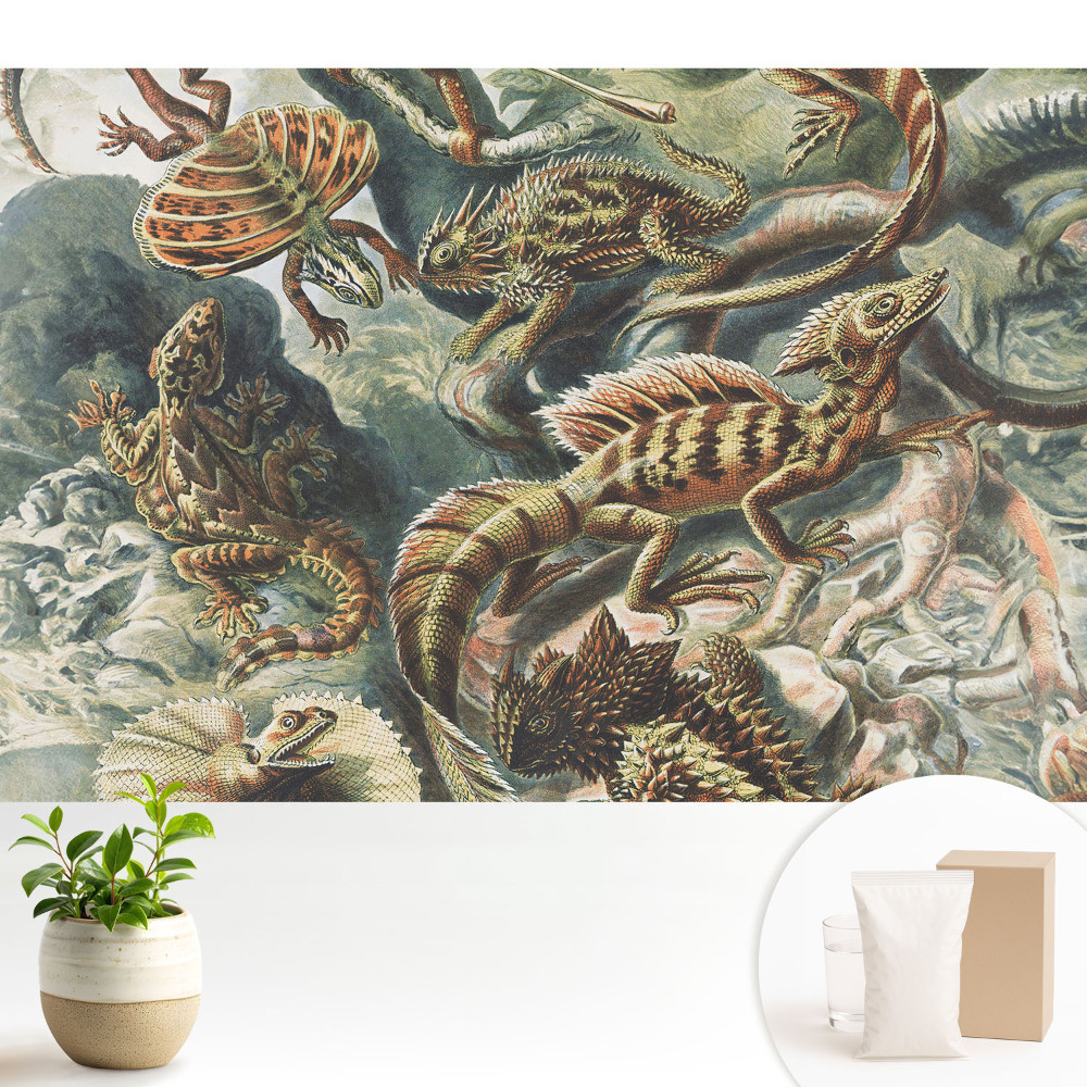 Dekor tapéta Mesés gyíkok mintás természet