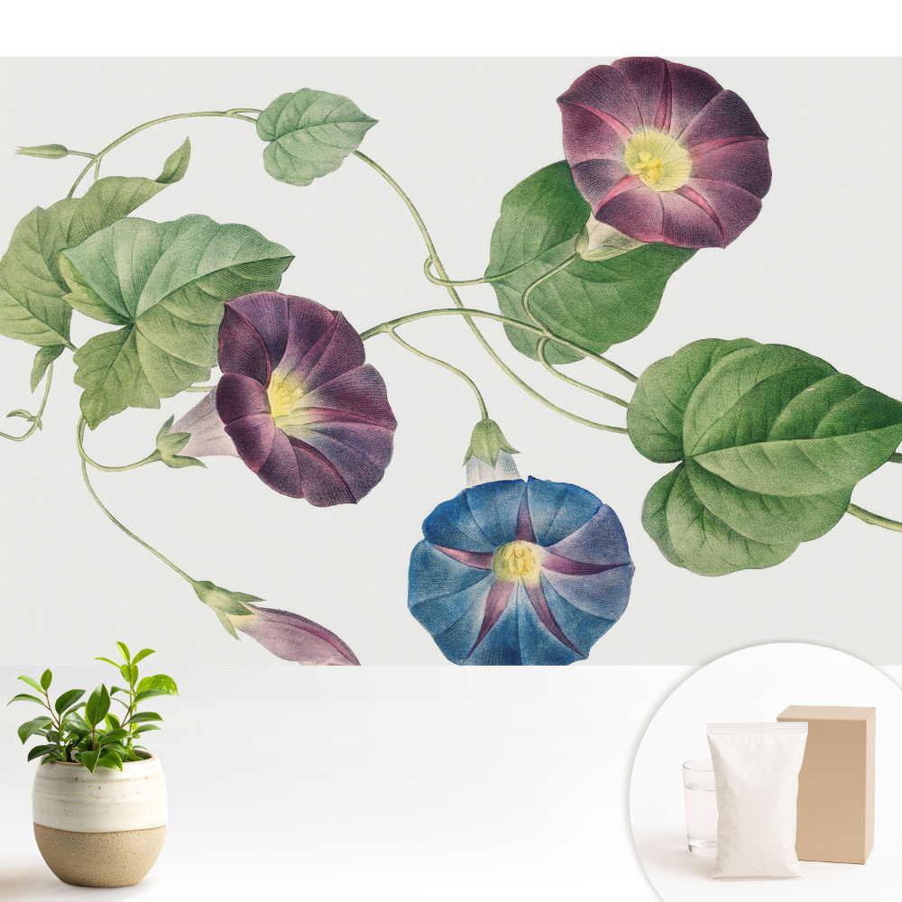 Modern tapéta Finom virágos botanikai motívumok