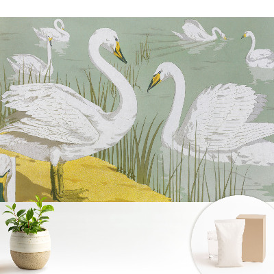 Modern tapéta Hattyúk a tavon Romantikus elegancia