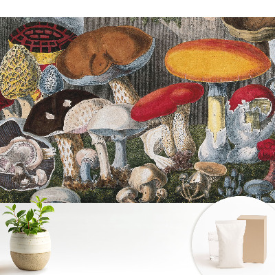 Tapéta Gombafajta botanikai stílus