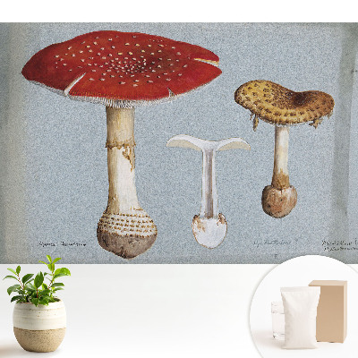 Tapéta Klasszikus stílusú gomba illusztráció