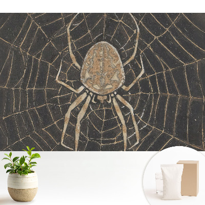 Modern tapéta Pók a hálóban szimmetrikus klasszikus