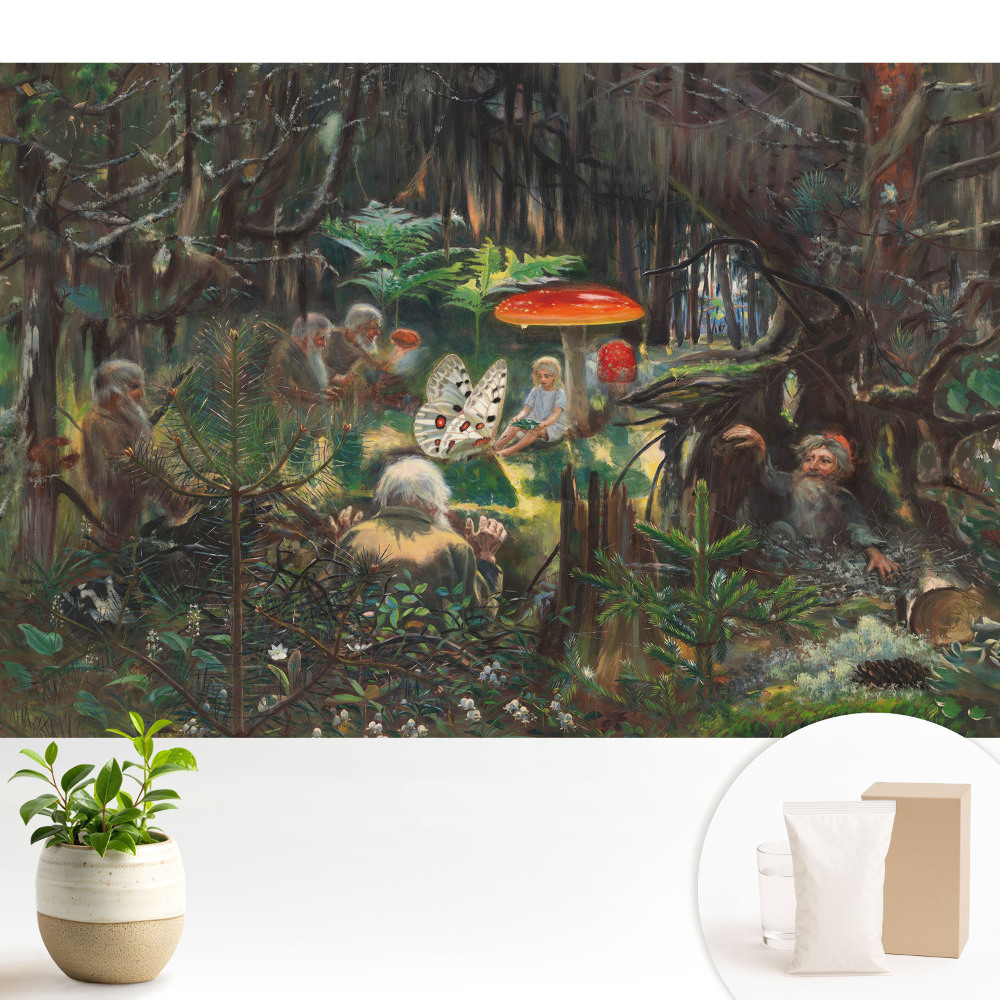 Dekor tapéta Erdei táj varázslatos stílusban