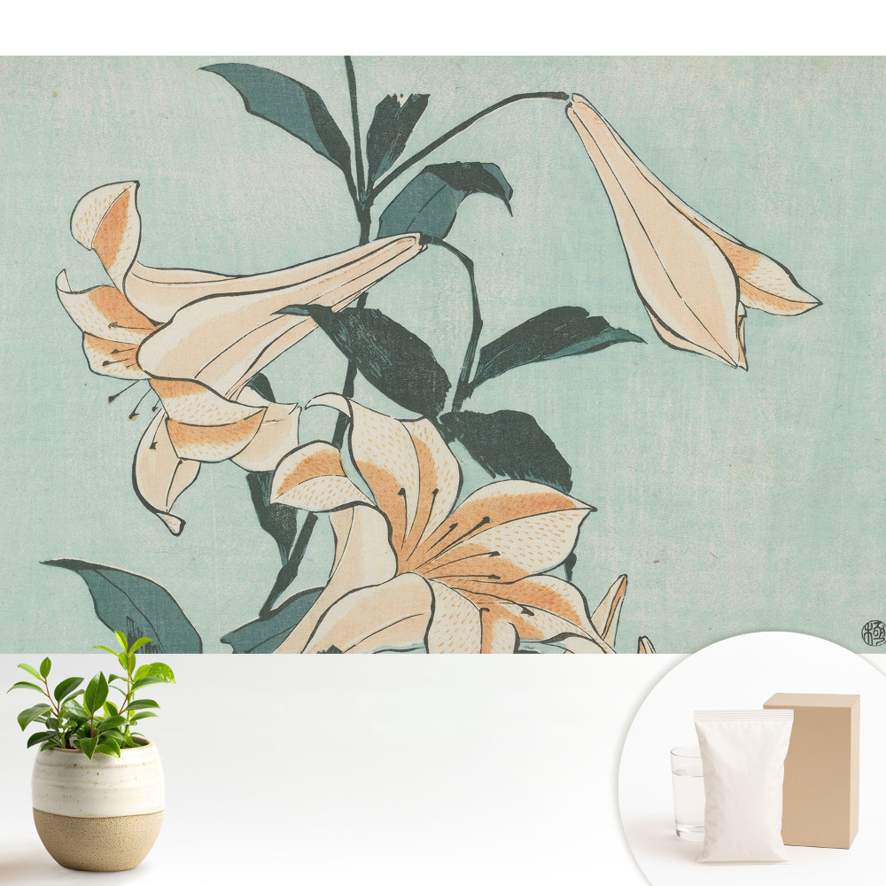 Tapéta A természet klasszikus finomsága