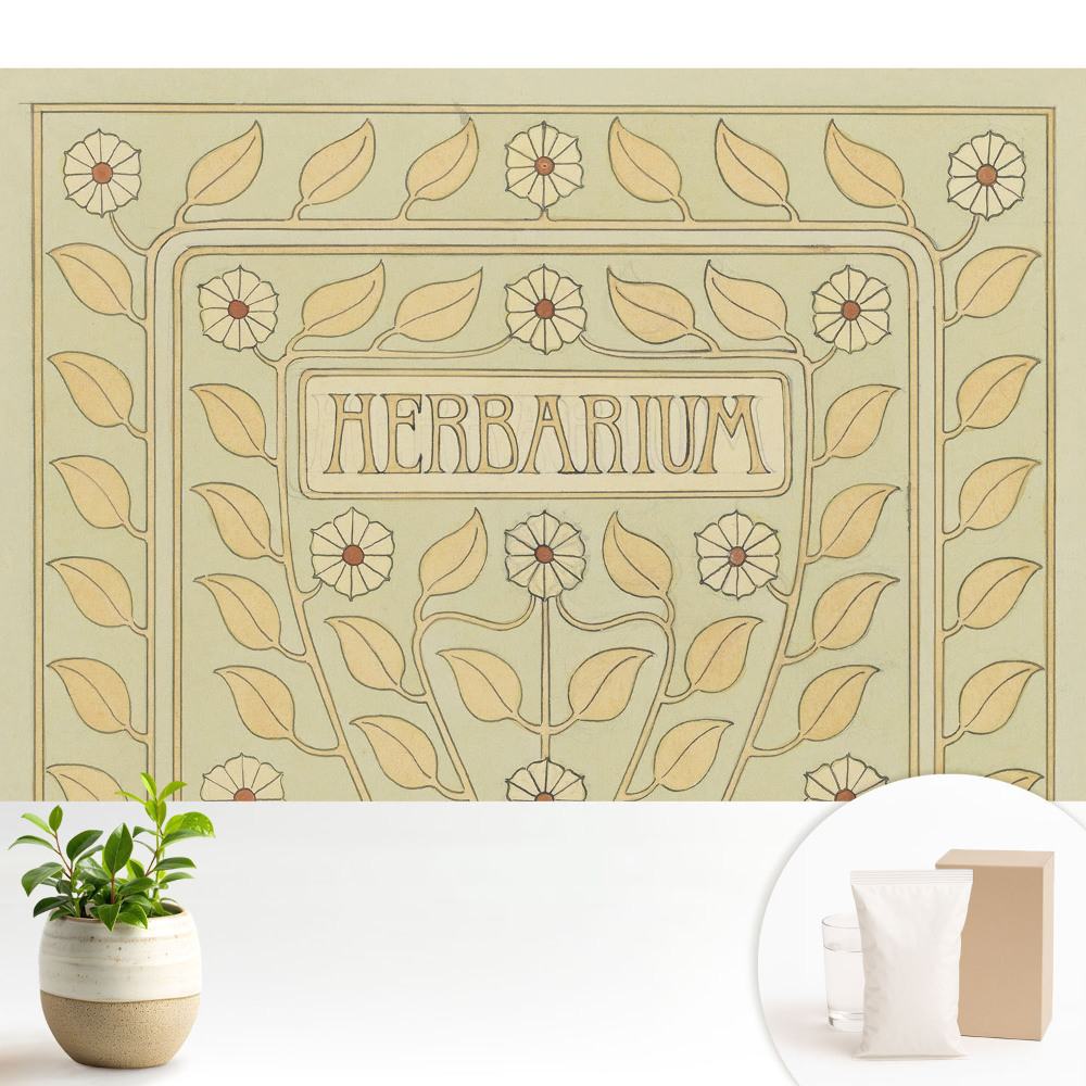 Modern tapéta Szecessziós növényi motívumok Herbarium felirattal