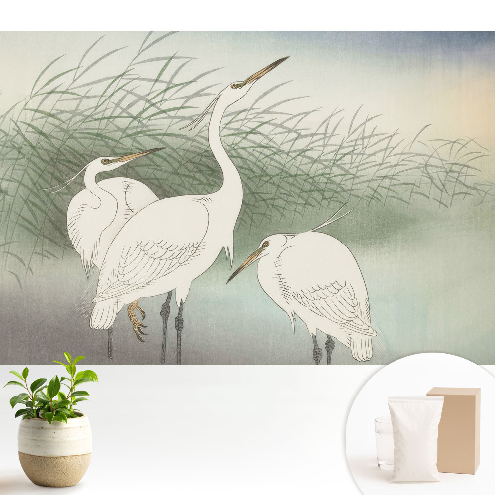 Dekor tapéta Finom madarak a fűben