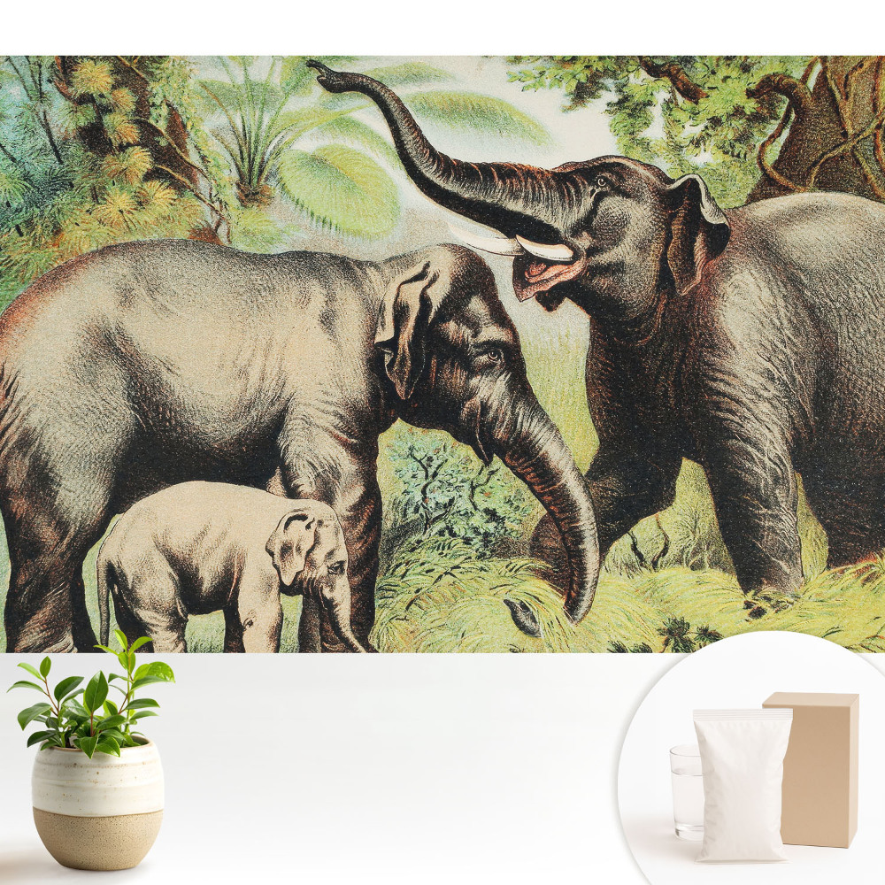 Modern tapéta Elefántcsalád a dzsungel hátterében